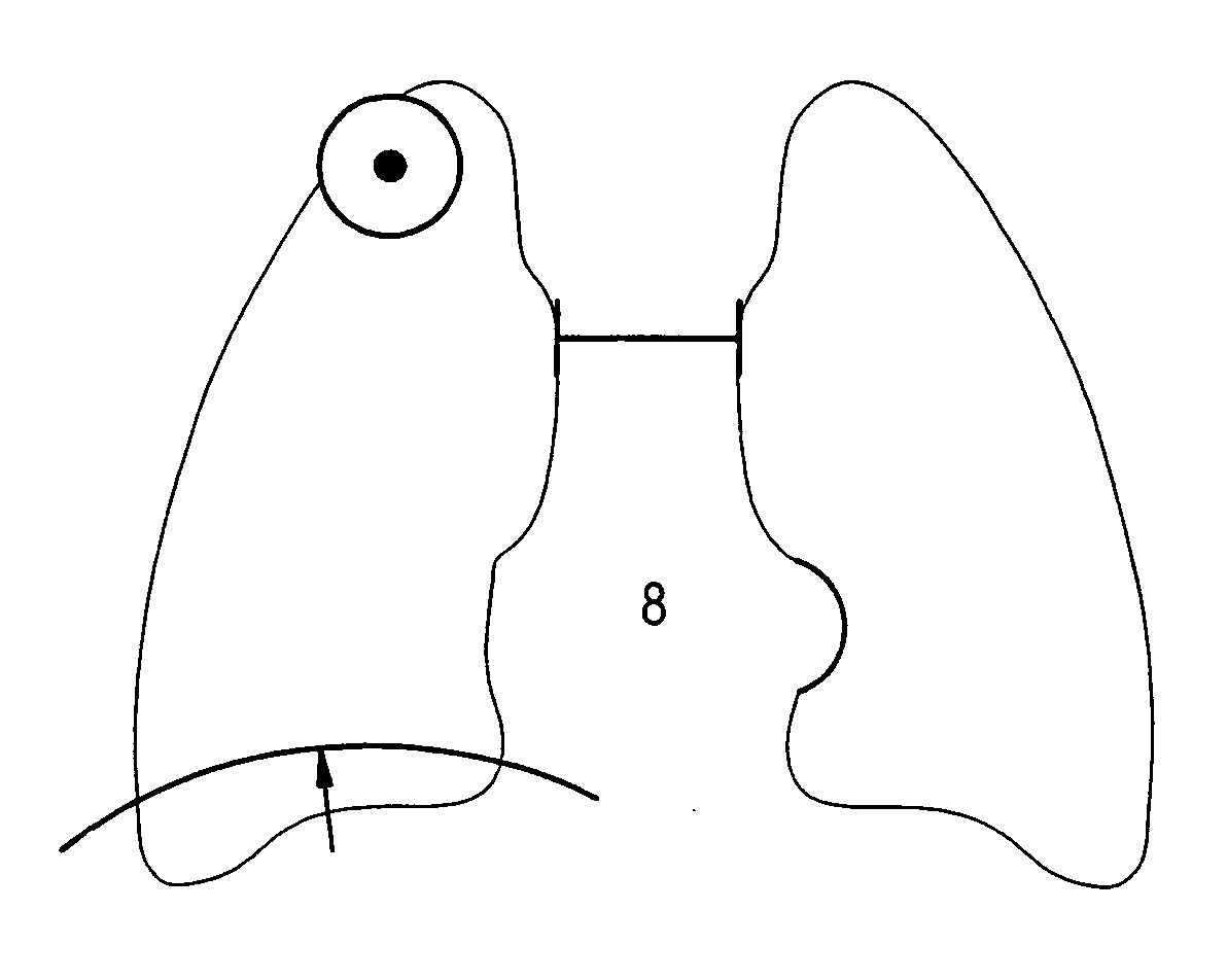 Gesture-based communication and reporting system