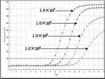 Single standard product-based four-color fluorogenic quantitative PCR (Polymerase Chain Reaction) method and kit