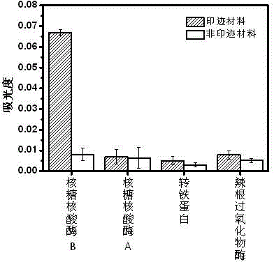 Lectin simulant preparation method and application based on molecular imprinting technique