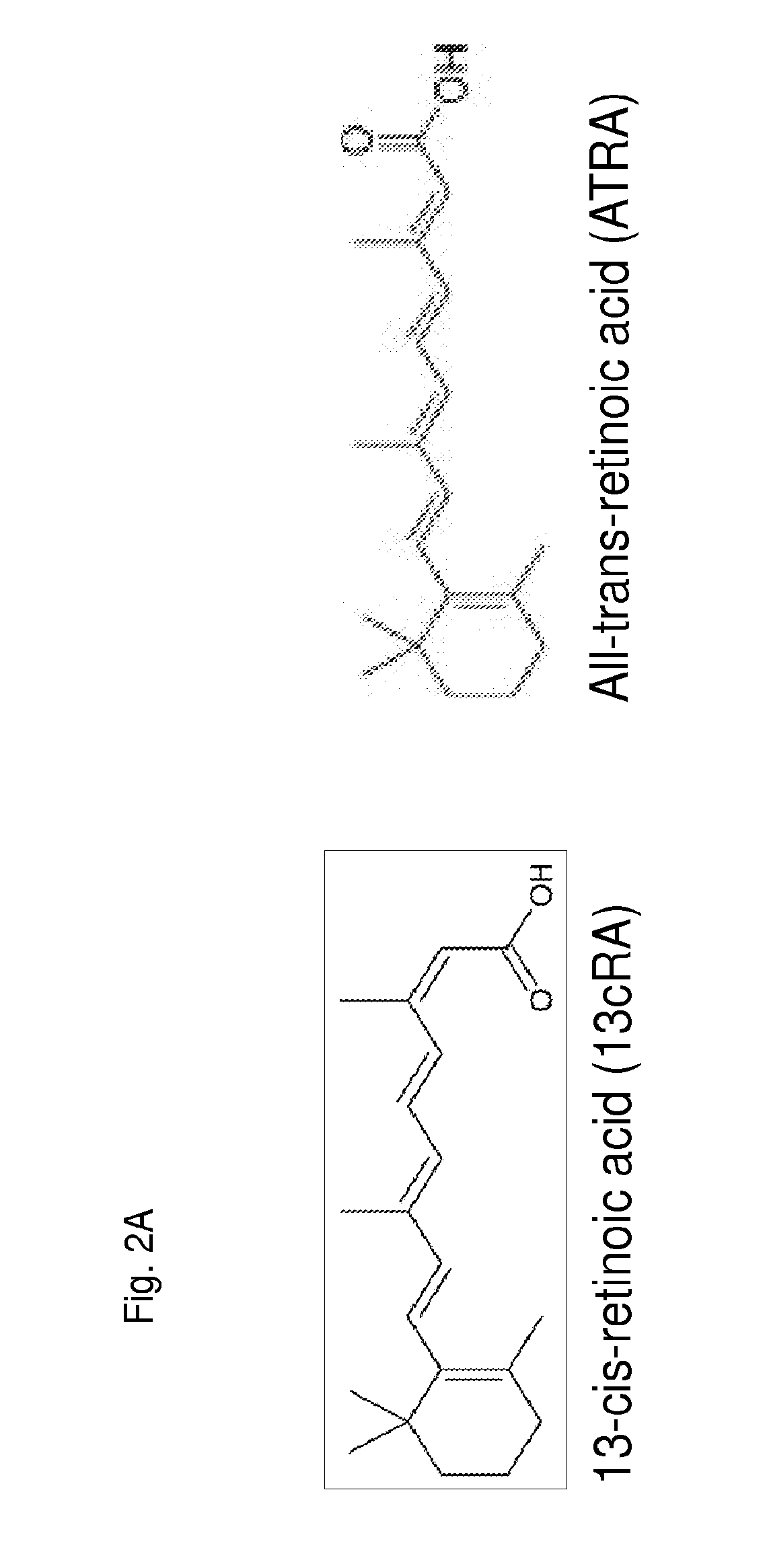 Methods and compositions for the treatment of proliferative disorders