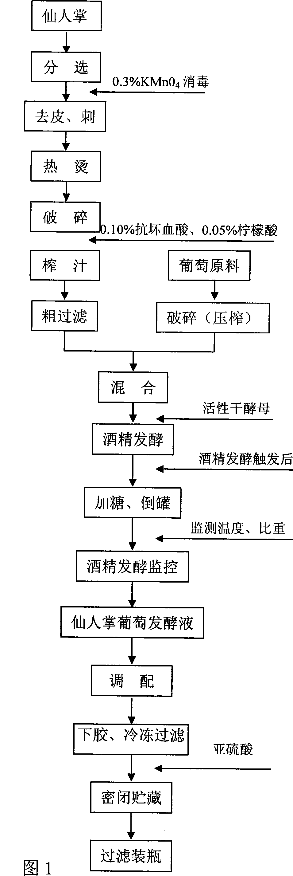 Method for producing ferment type cactus vine fruit juice liquor