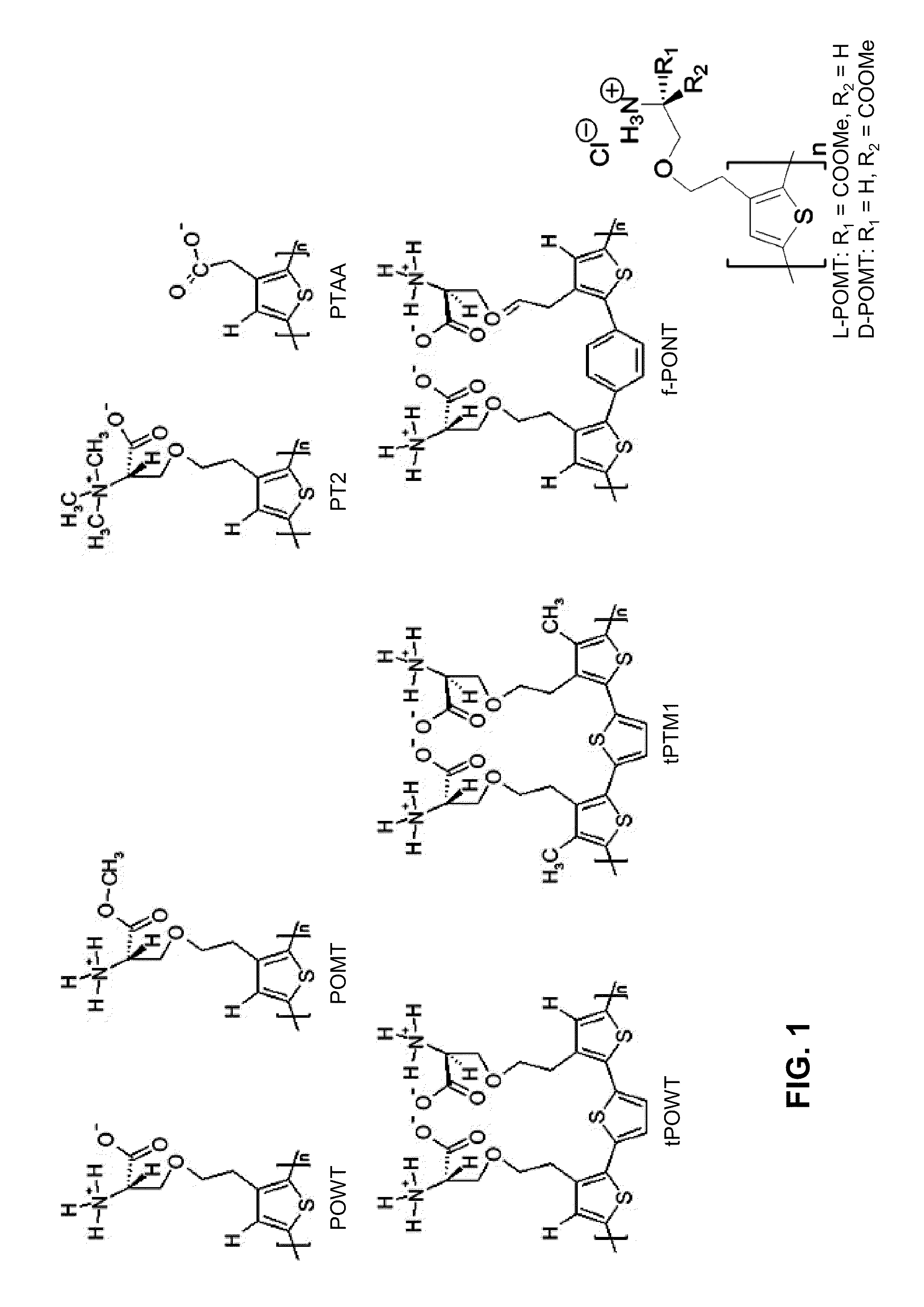 Binding of pathological forms of proteins using conjugated polyelectrolytes