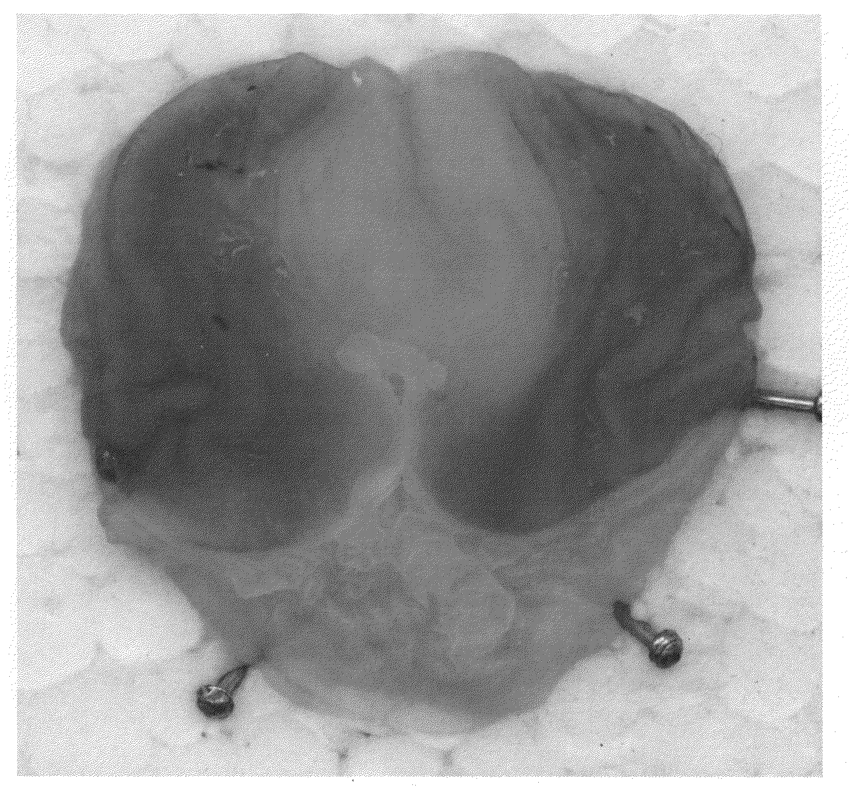 Composition for selective serotonin reuptake inhibition and process thereof