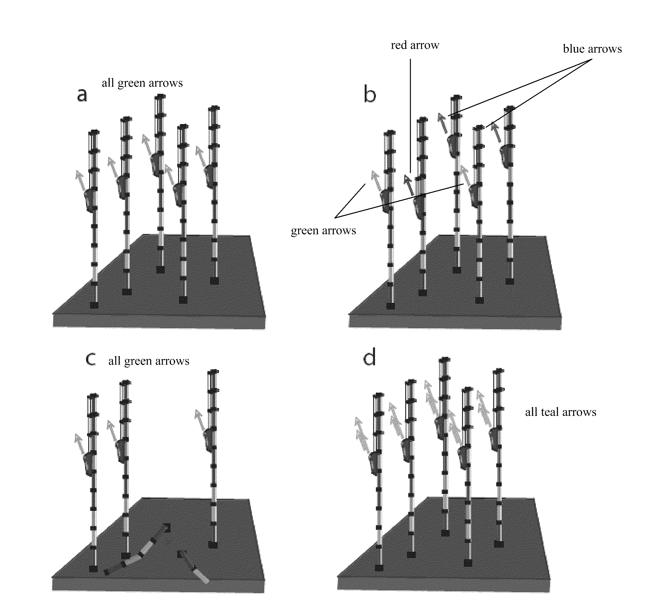 Methods and systems of DNA sequencing