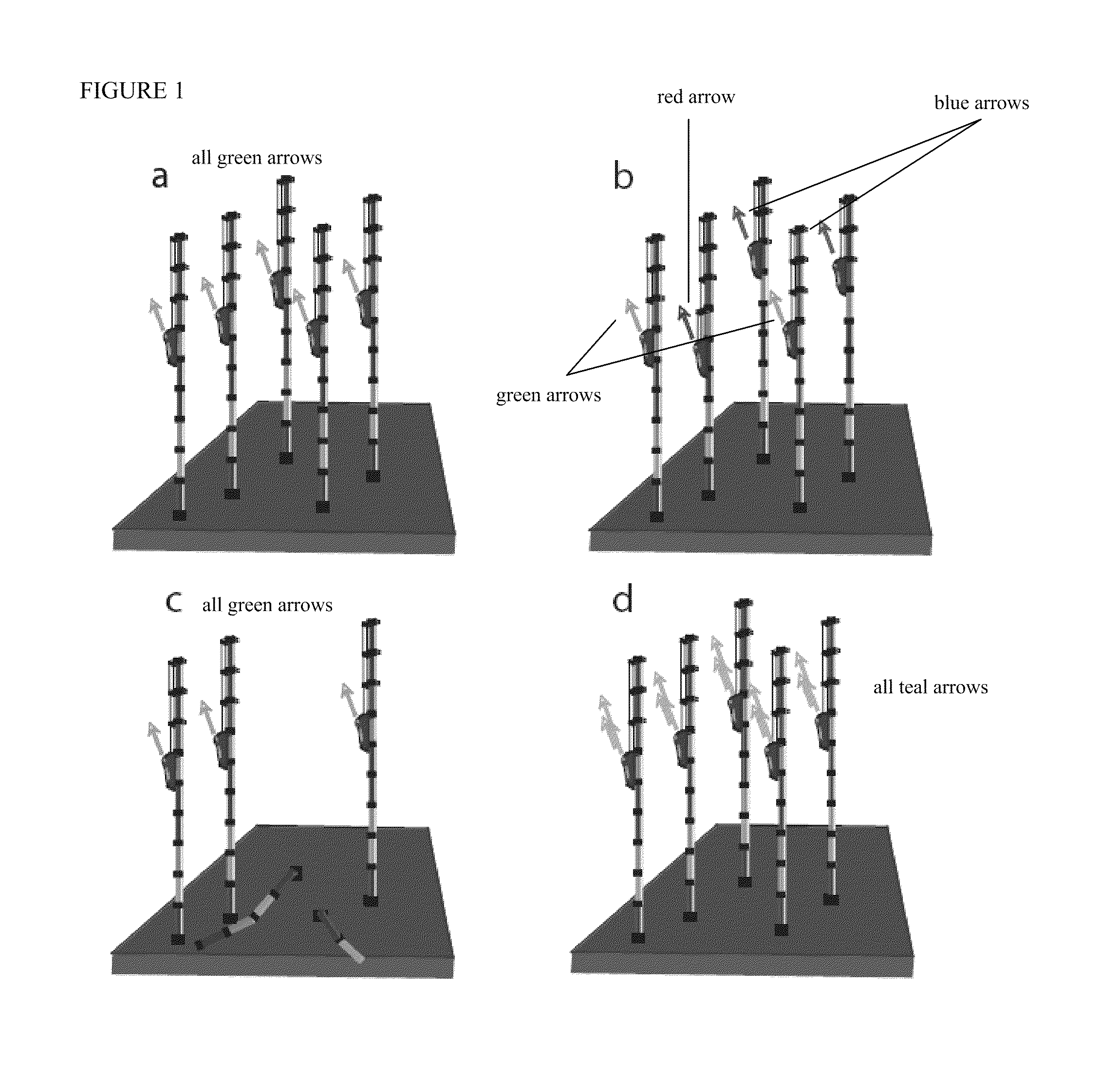 Methods and systems of DNA sequencing