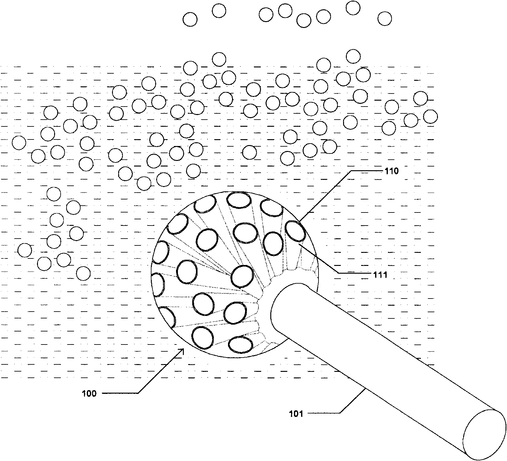 Automobile exhaust gas purifier and method for purifying automobile exhaust gas