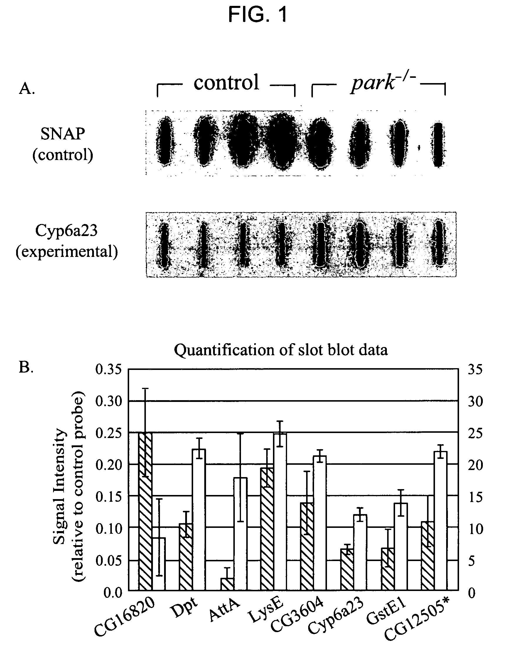 Methods and compositions for screening for modulators of Parkinson's disease