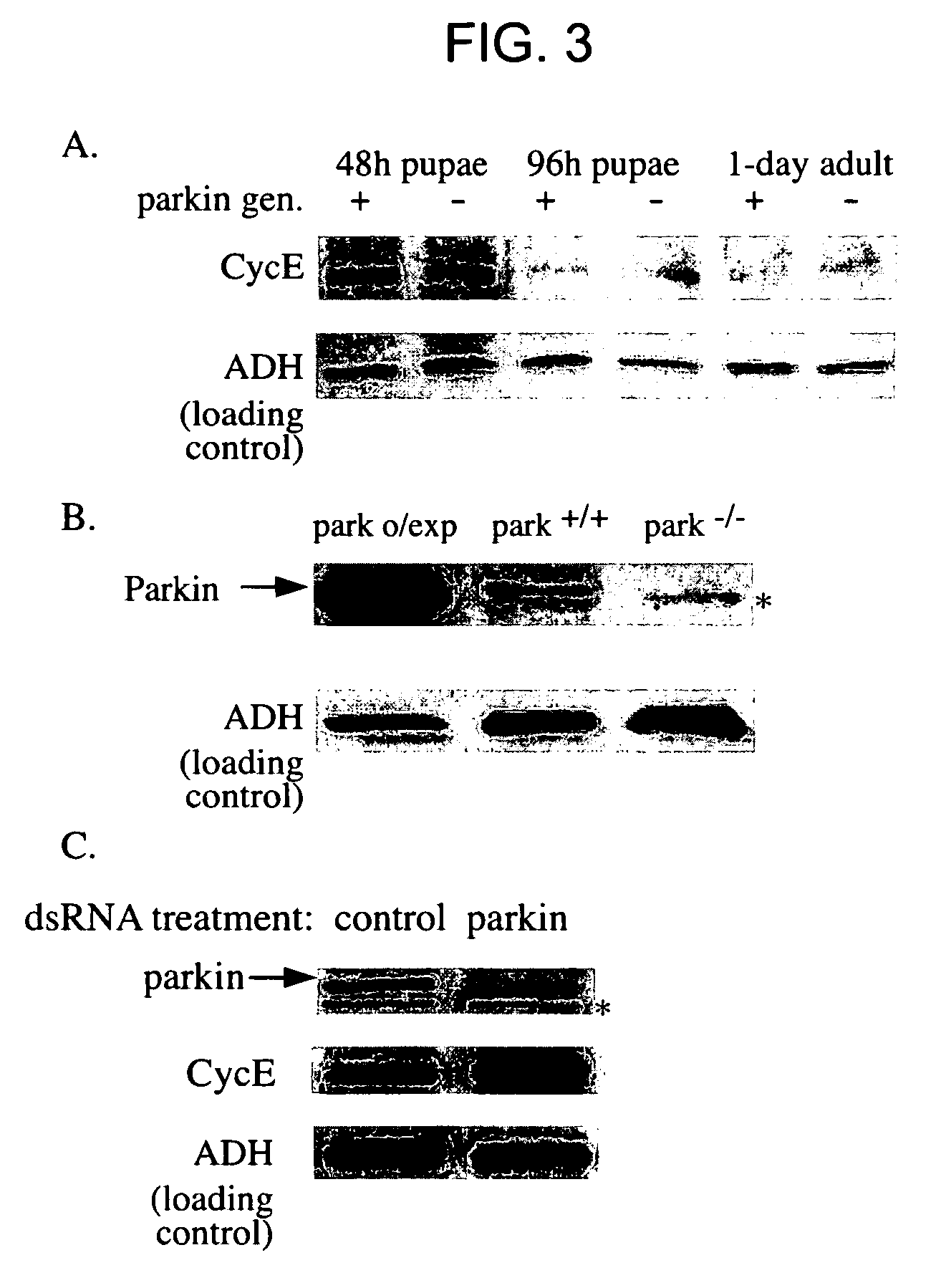 Methods and compositions for screening for modulators of Parkinson's disease