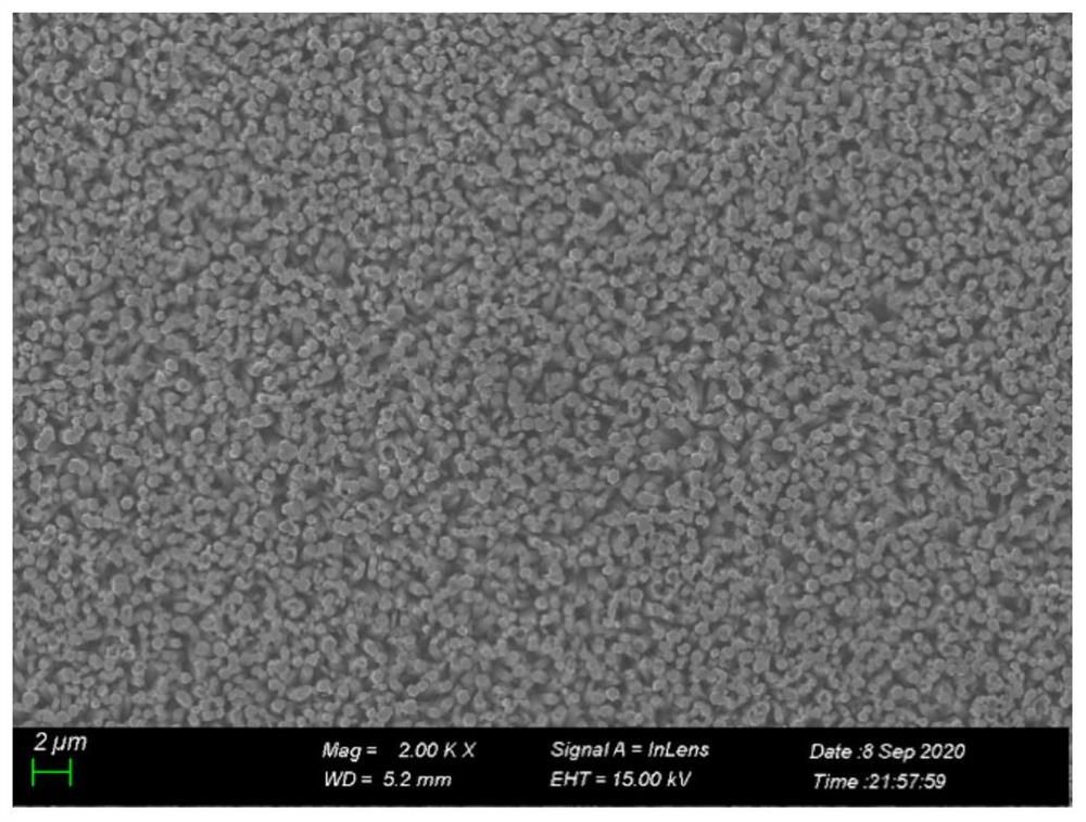 Preparation method and application of a photothermal thermoelectric catalyst based on thermoelectric materials