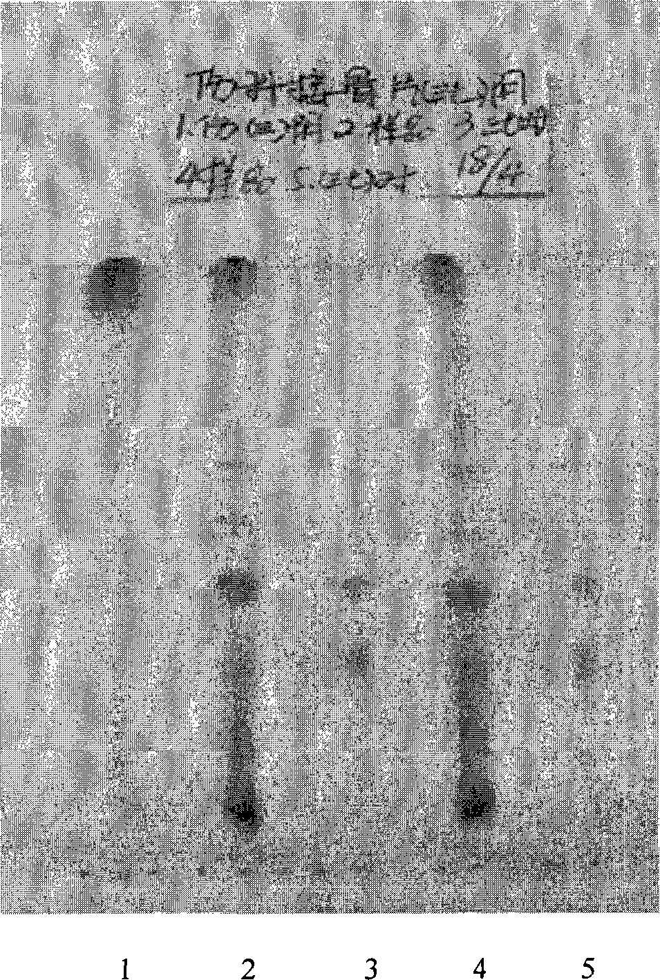 Quality control method of Shangke bone-knitting medicine