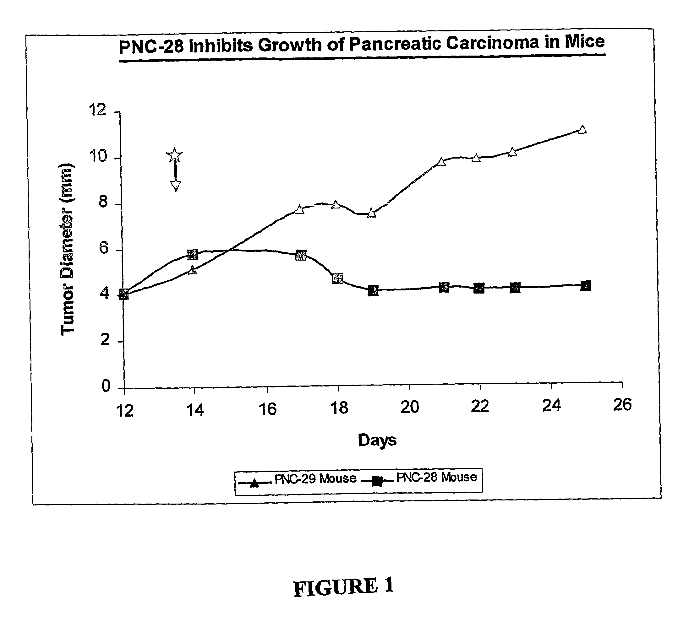 Peptides selectively lethal to malignant and transformed mammalian cells