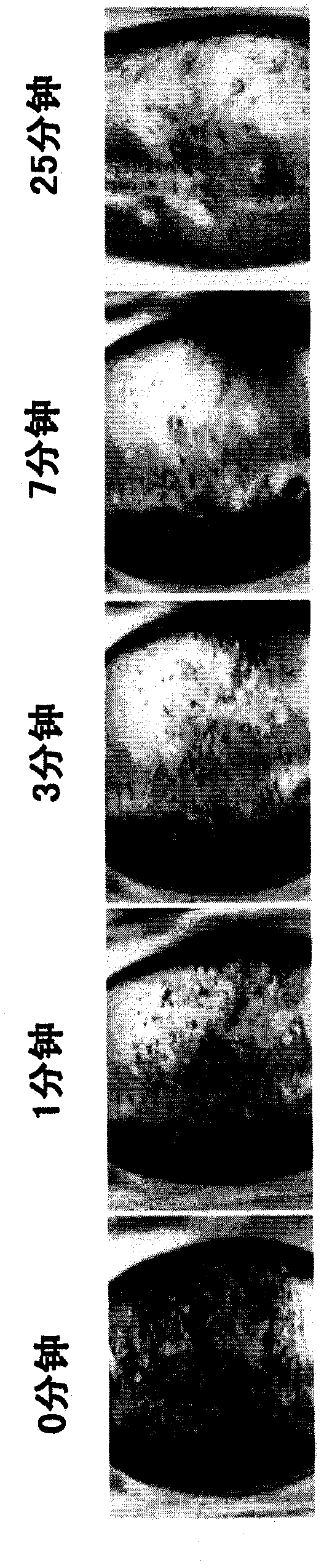 Method of loading a crystallization device