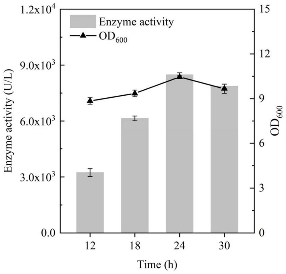 Fusion expression of heparin lyase in bacillus subtilis and application of heparin lyase