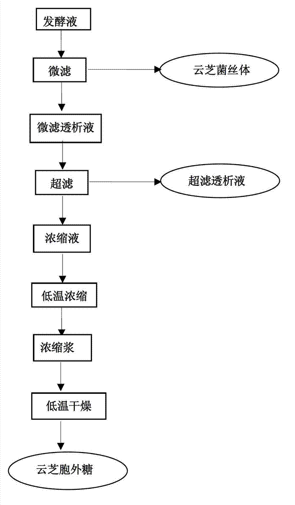 Method for extracting trametes versicolor exopolysaccharide through two-membrane process