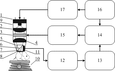 Optical resolution type photoacoustic microscope based on optical beam scanning