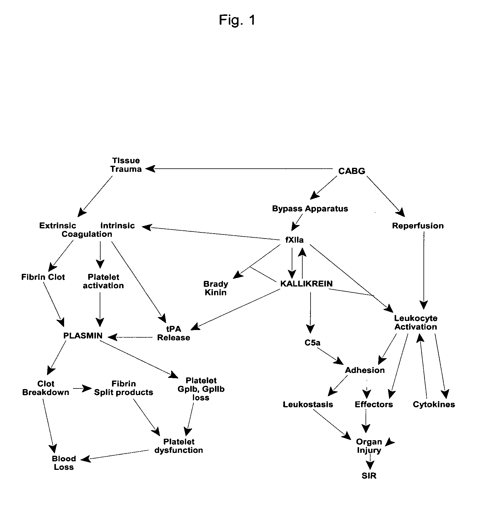 Methods for preserving organs and tissues