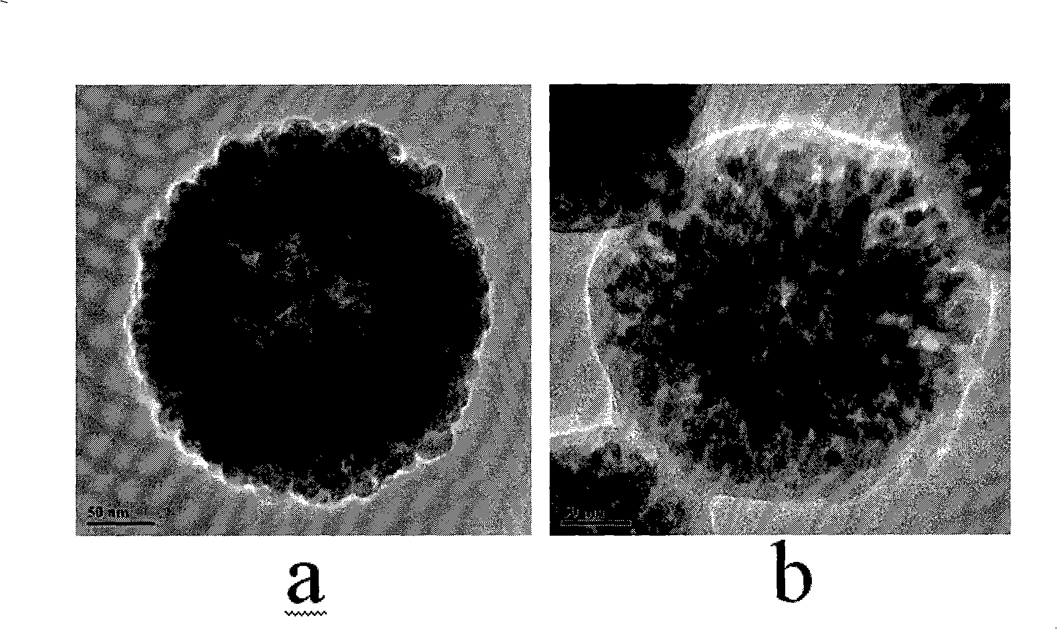 Magnetic carbon sphere of surface finished C8 alkyl chain, preparation and application thereof