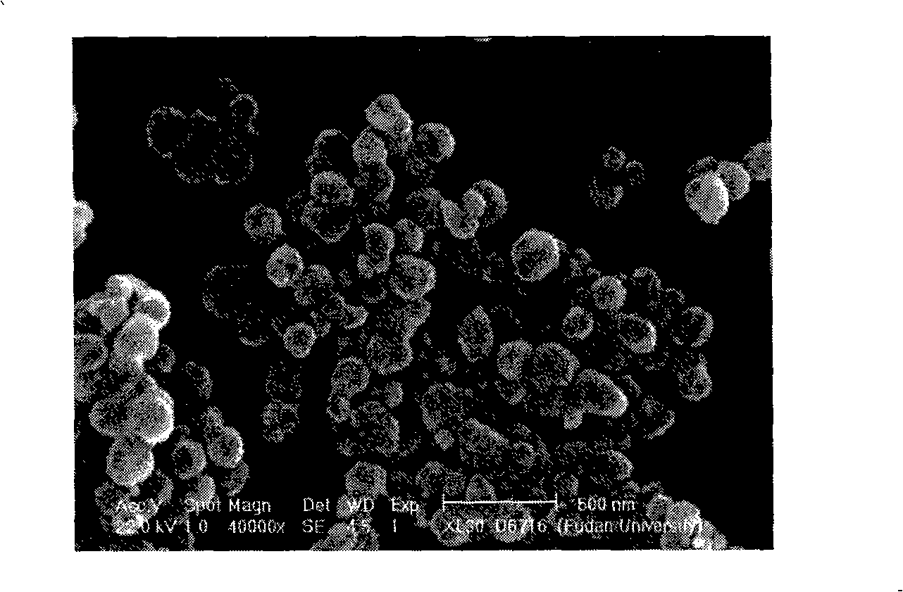 Magnetic carbon sphere of surface finished C8 alkyl chain, preparation and application thereof