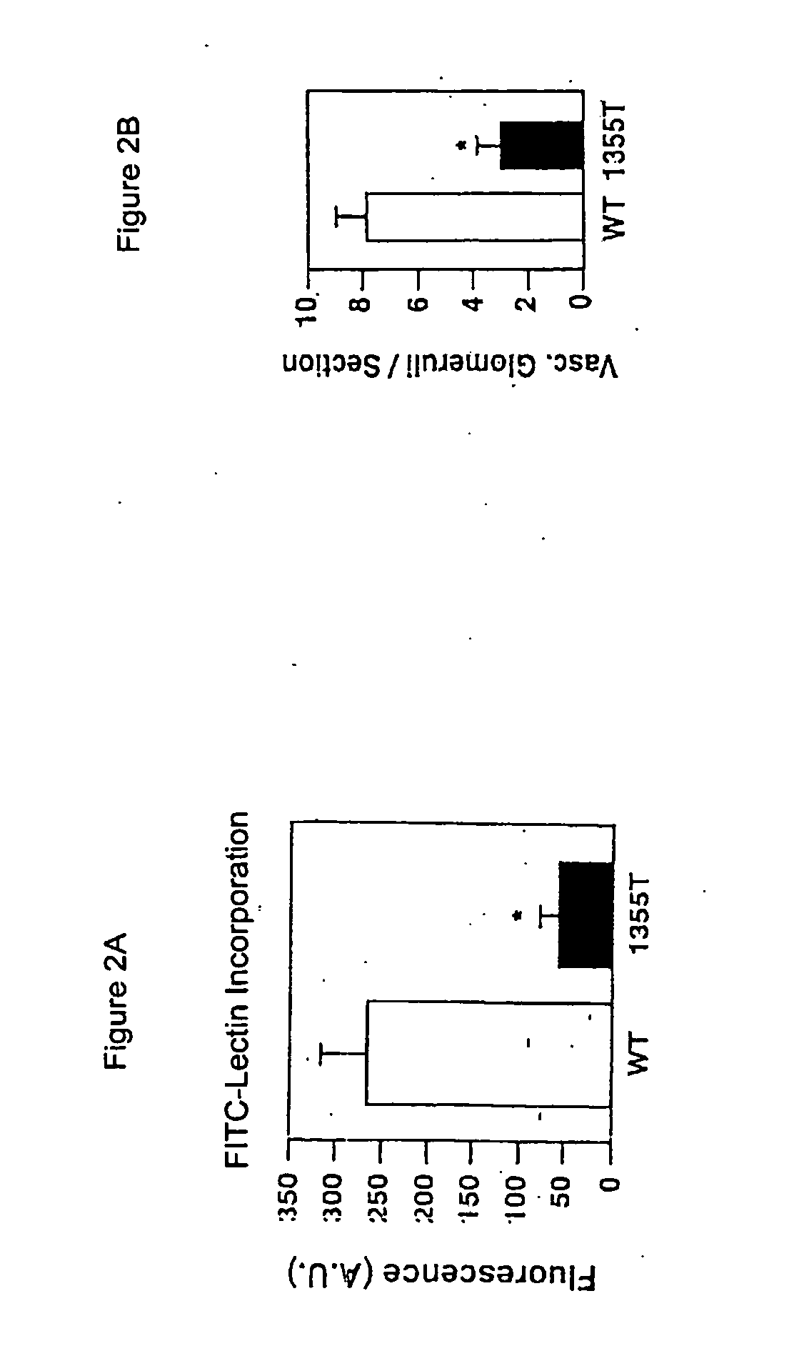 Methods for controlling pathological angiogenesis by inhibition of a6b4 integrin