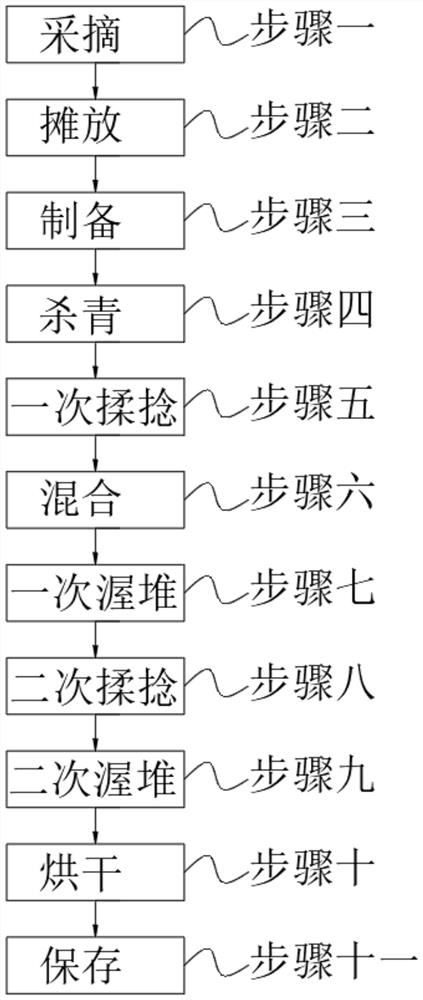 Processing technology of healthy raw dark green tea