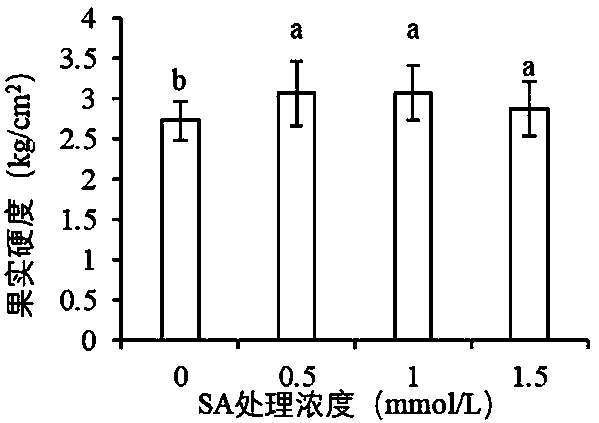 Method for improving fresh-keeping effect of blueberries