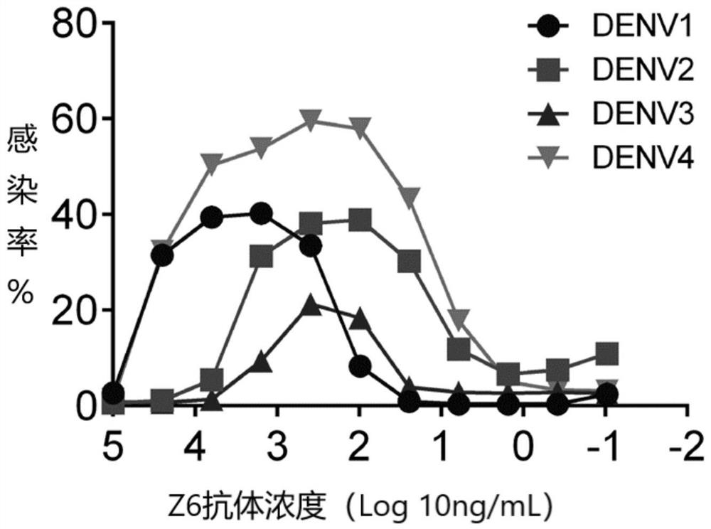 A kind of Zika/dengue vaccine and its application