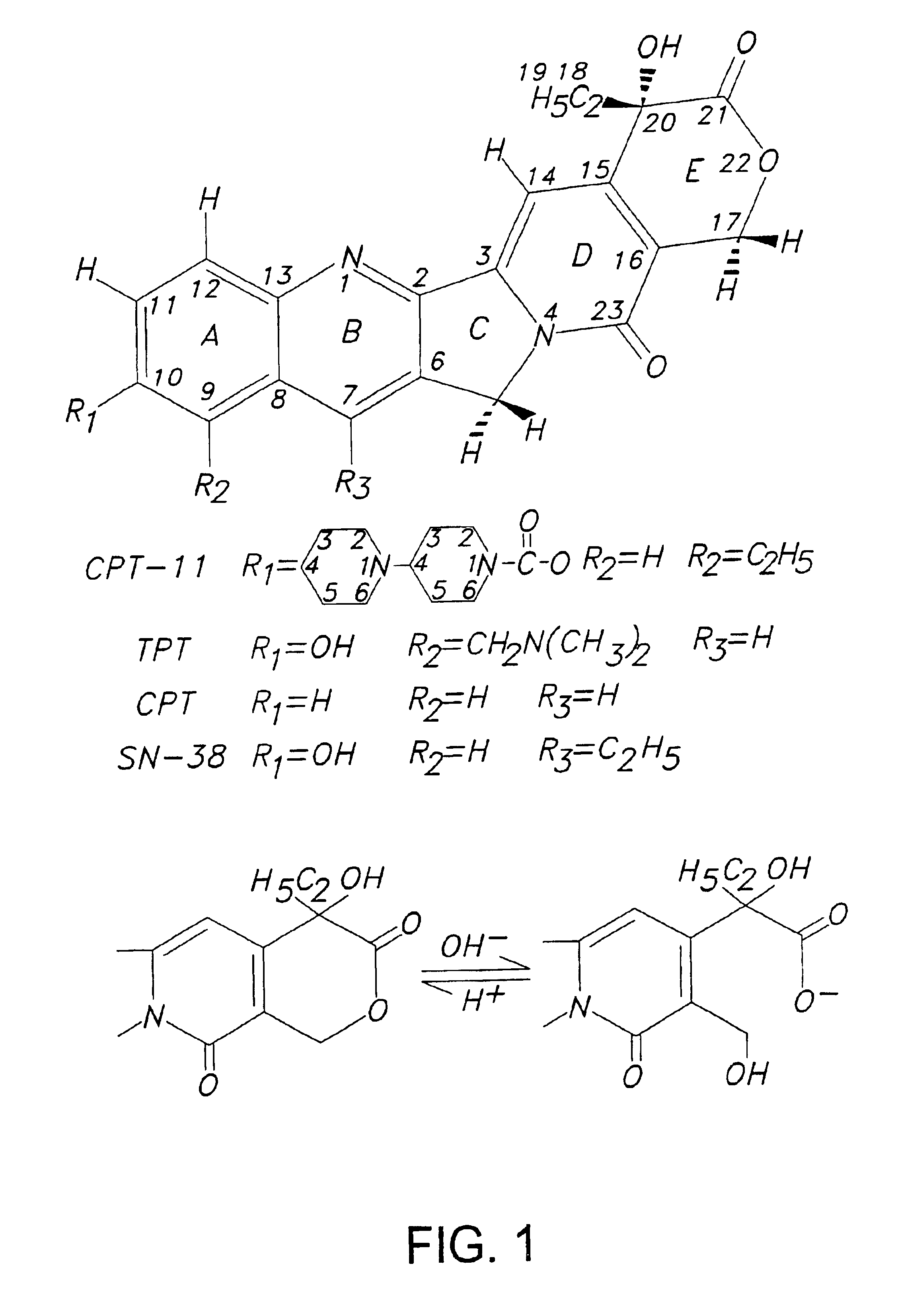 Oligonucleotide delivery systems for camptothecins