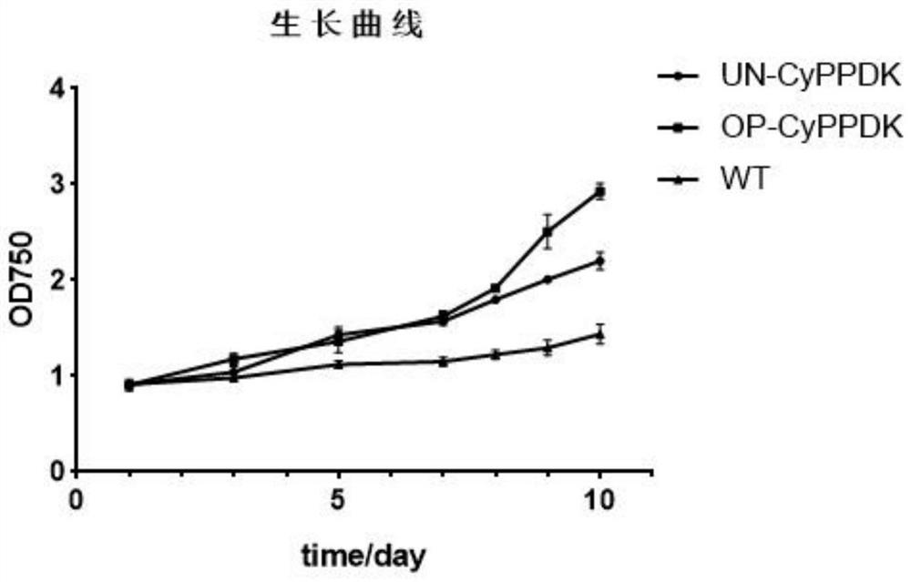 Method for producing fucoxanthin by using mutant strain for expressing exogenous pyruvate phosphate dikinase in phaeodactylum tricornutum