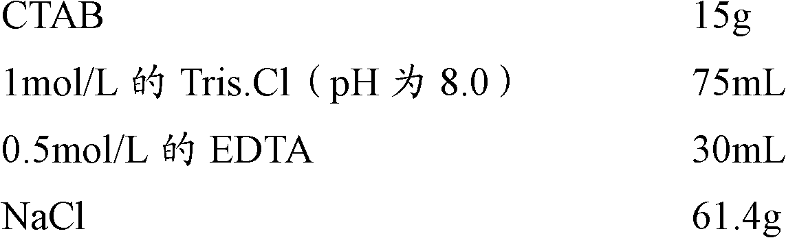 Molecular marker SIsv0408 capable of being closely linked to Setaria italica pollen color gene