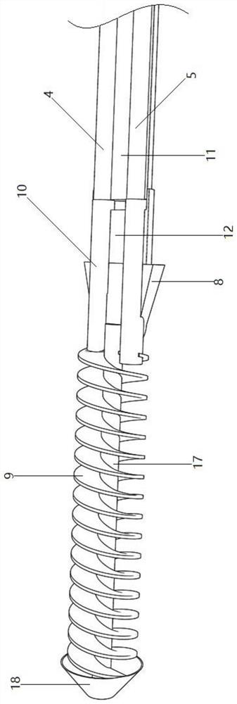 Ear canal flushing device