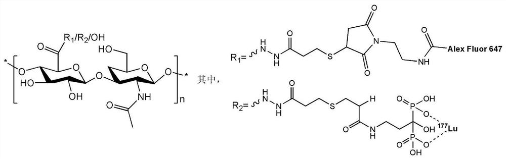 Fluorescence and lutetium-177 double-labeled biomolecule as well as preparation method and application thereof