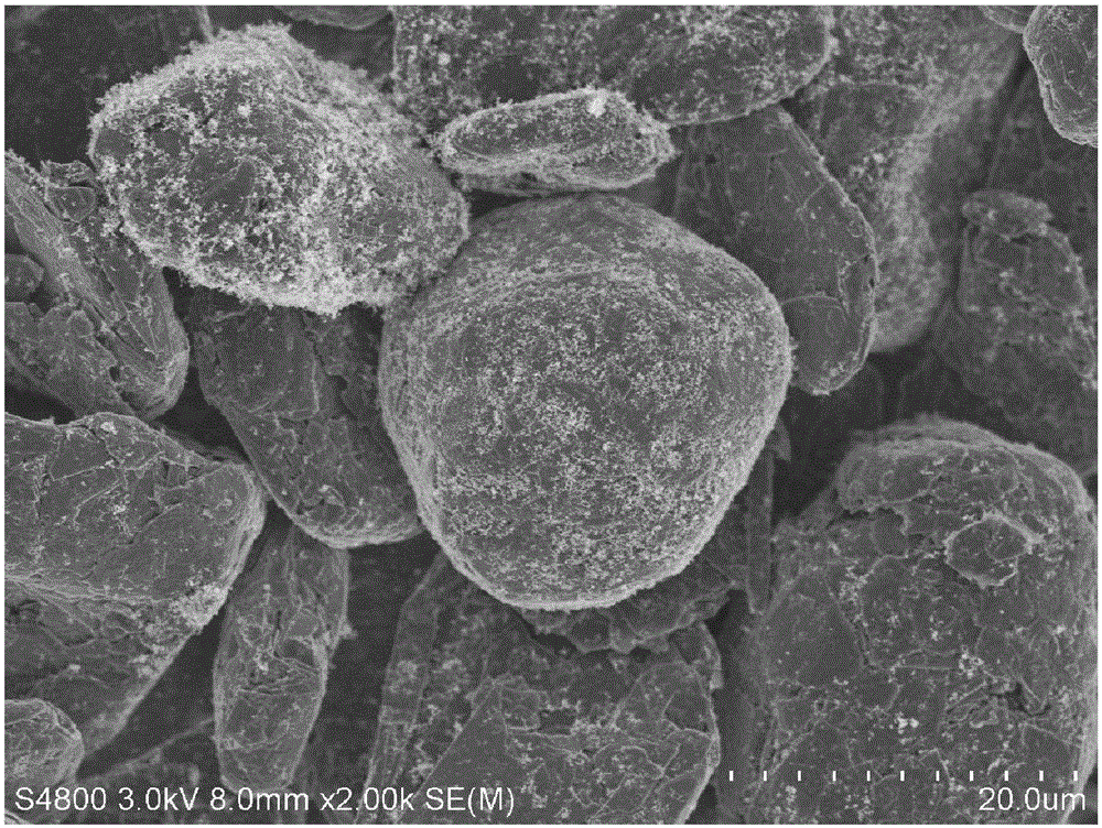 Graphite composite negative electrode material for lithium ion battery, preparation method and lithium ion battery