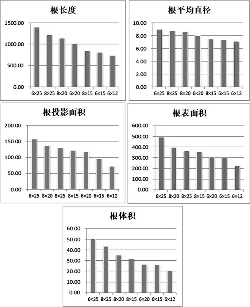 A method for optimizing seedling root balls in light-duty substrate Quercus liaotungen non-woven containers