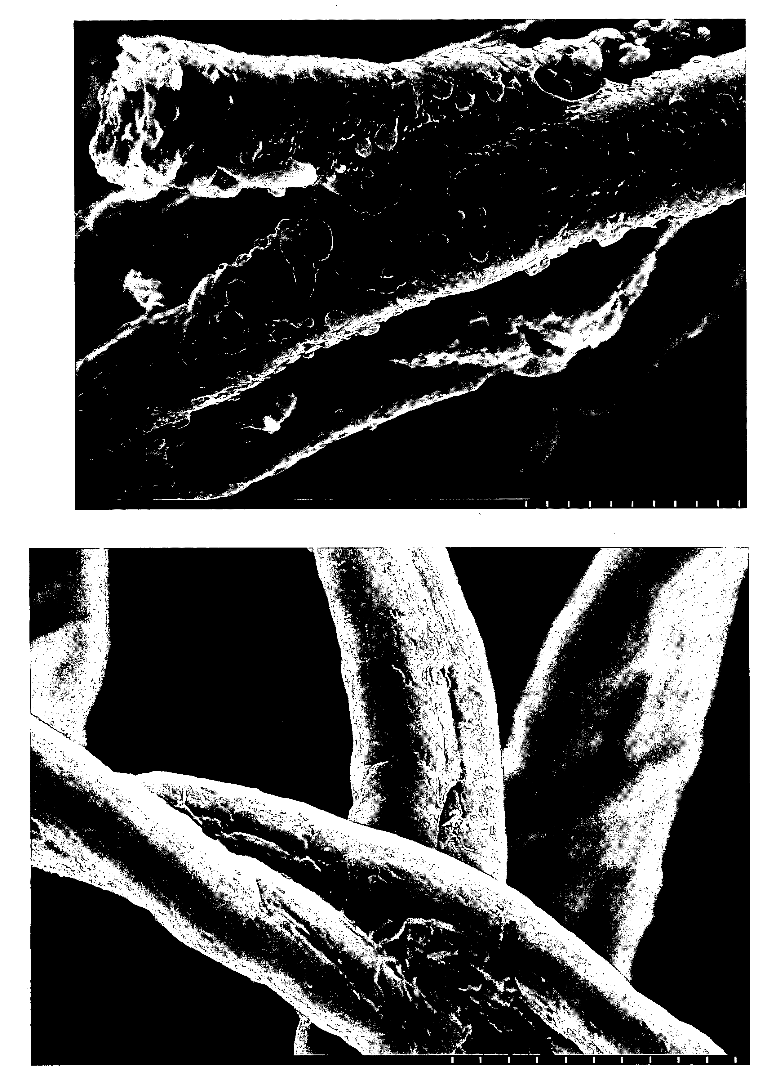 Treatment of fibres to endure processing