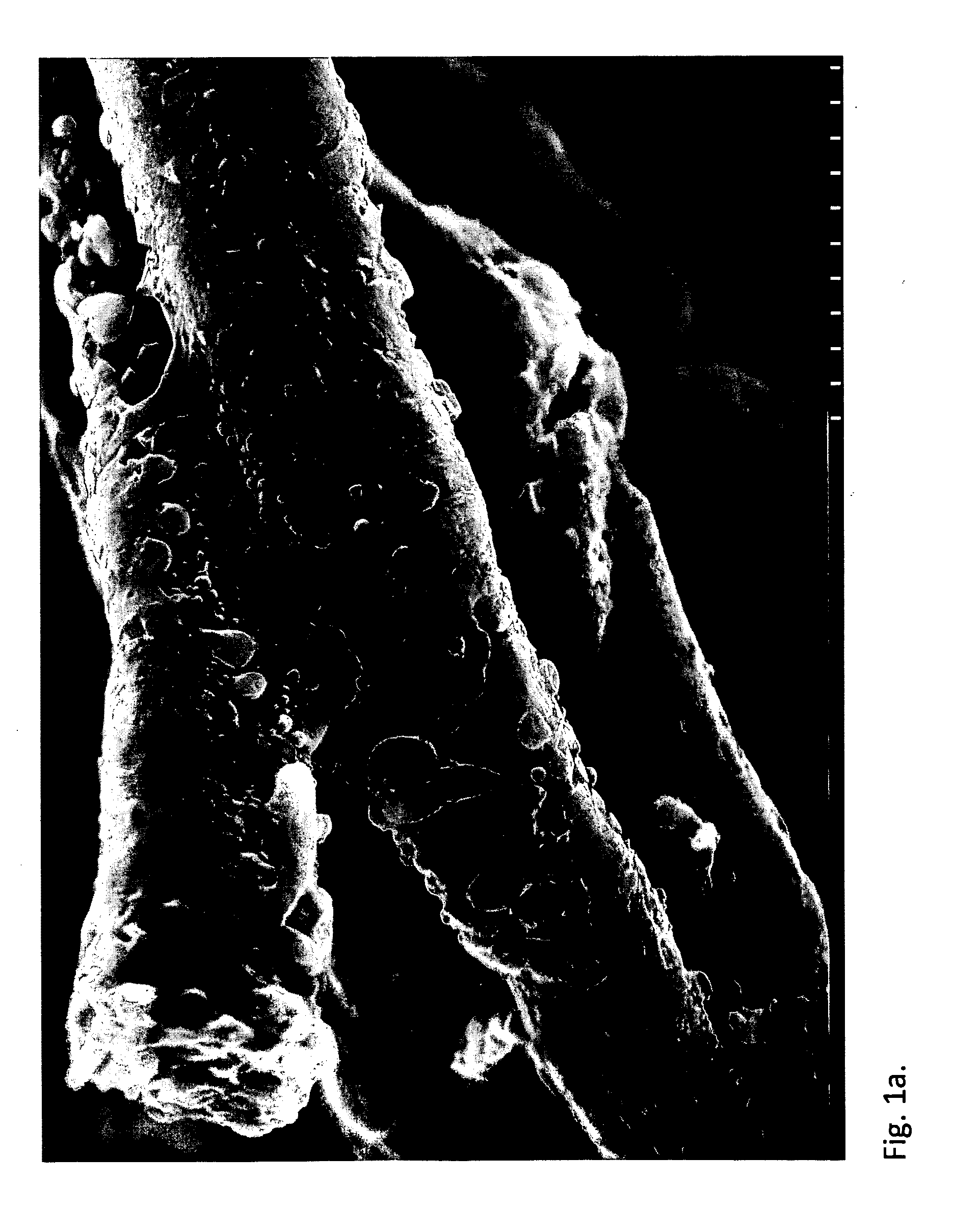 Treatment of fibres to endure processing