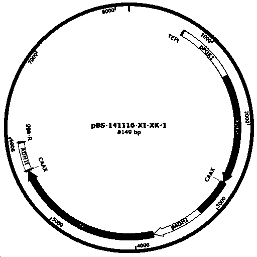 Recombinant Saccharomyces cerevisiae strain producing ethanol, its construction method and method for producing ethanol using the strain