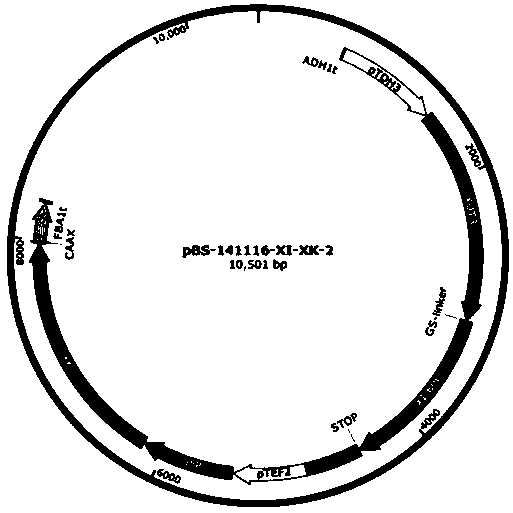 Recombinant Saccharomyces cerevisiae strain producing ethanol, its construction method and method for producing ethanol using the strain