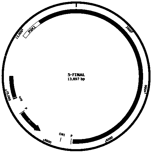 Recombinant Saccharomyces cerevisiae strain producing ethanol, its construction method and method for producing ethanol using the strain