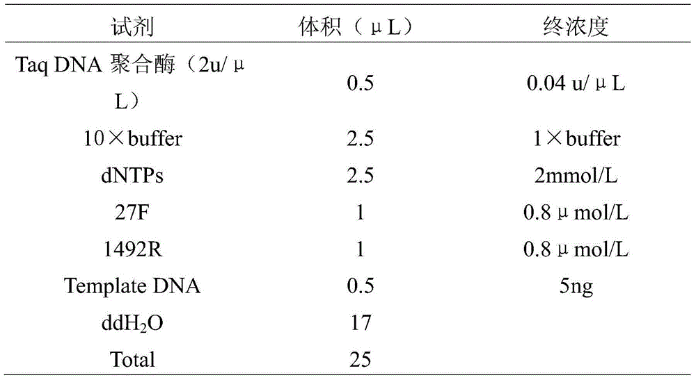 Pseudomonas and application thereof