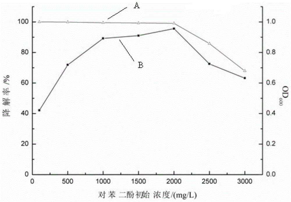 Pseudomonas and application thereof