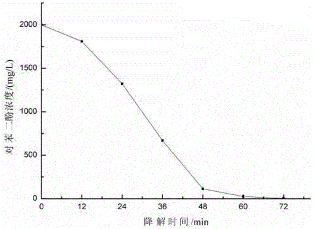 Pseudomonas and application thereof