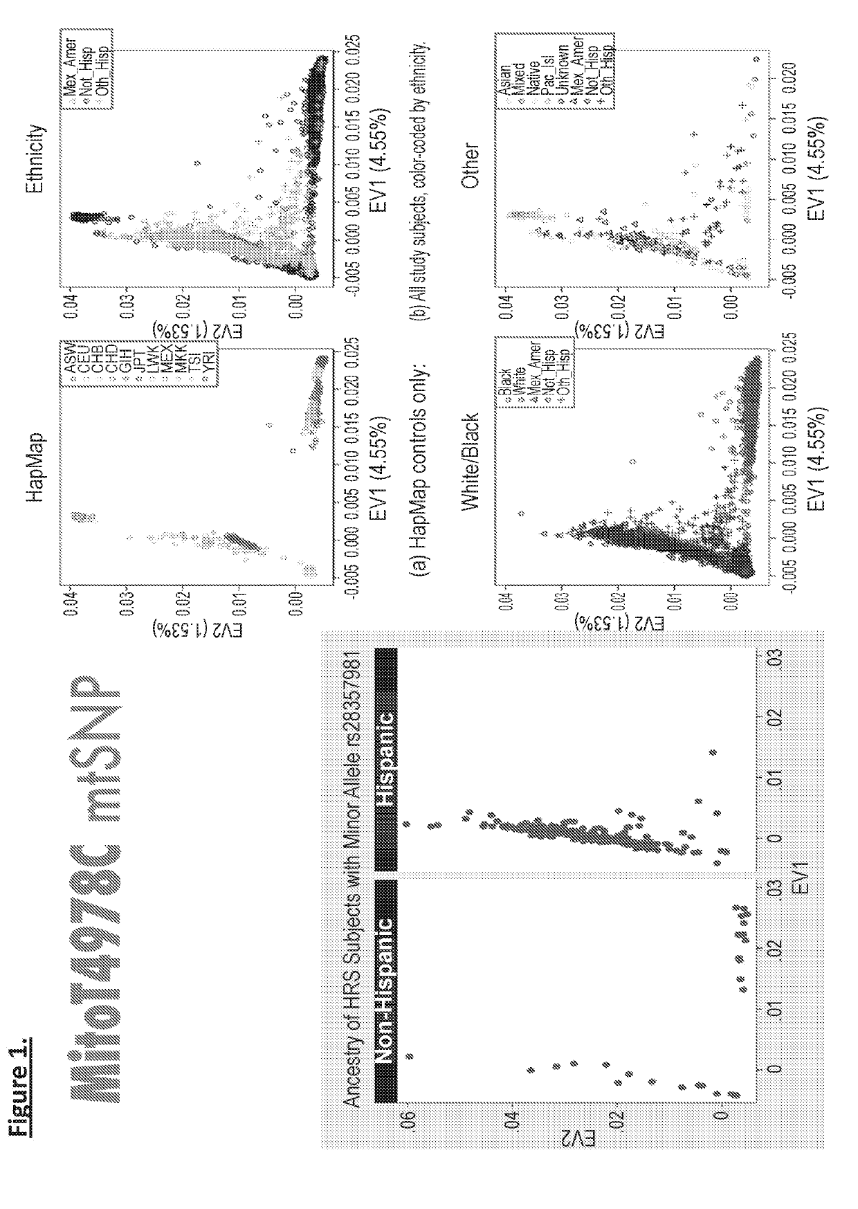 Mentsh analogs as therapeutics for diabetes, obesity, and their associated diseases and complications