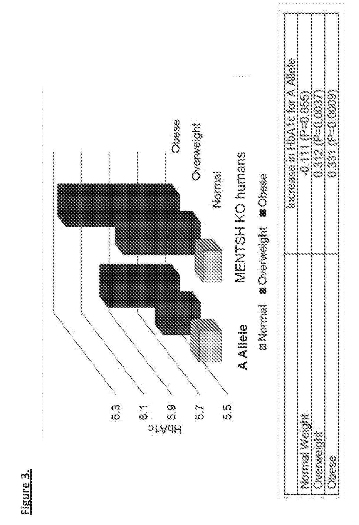 Mentsh analogs as therapeutics for diabetes, obesity, and their associated diseases and complications