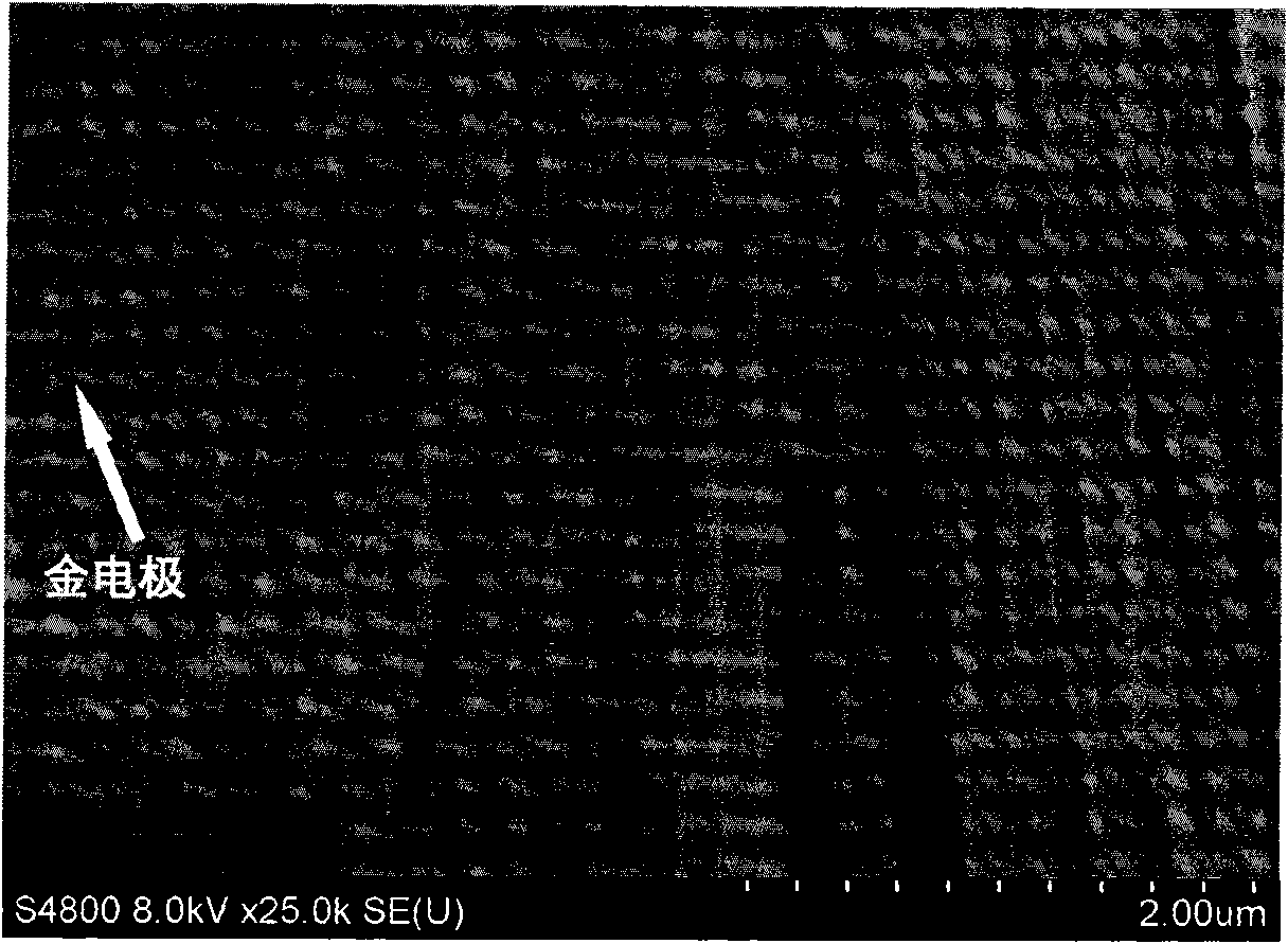 Nickel-bismuth hybridized nanowire and preparation method thereof