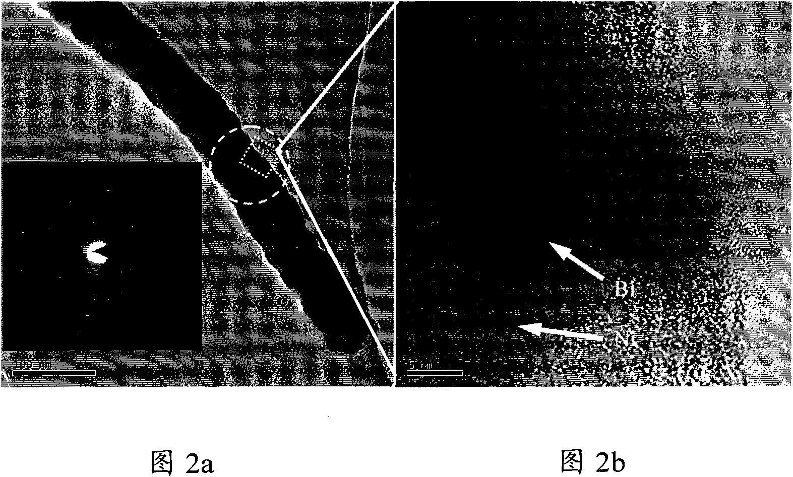 Nickel-bismuth hybridized nanowire and preparation method thereof