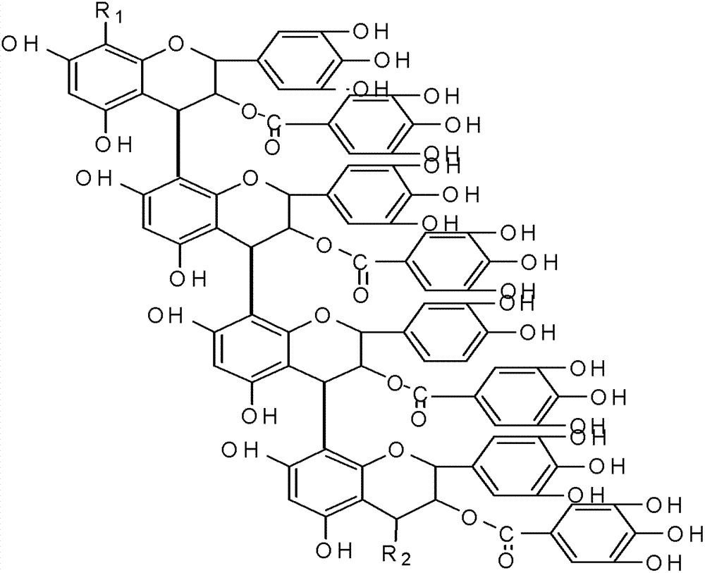 Method for preparing activated carbon-persimmon tannin compound absorbent