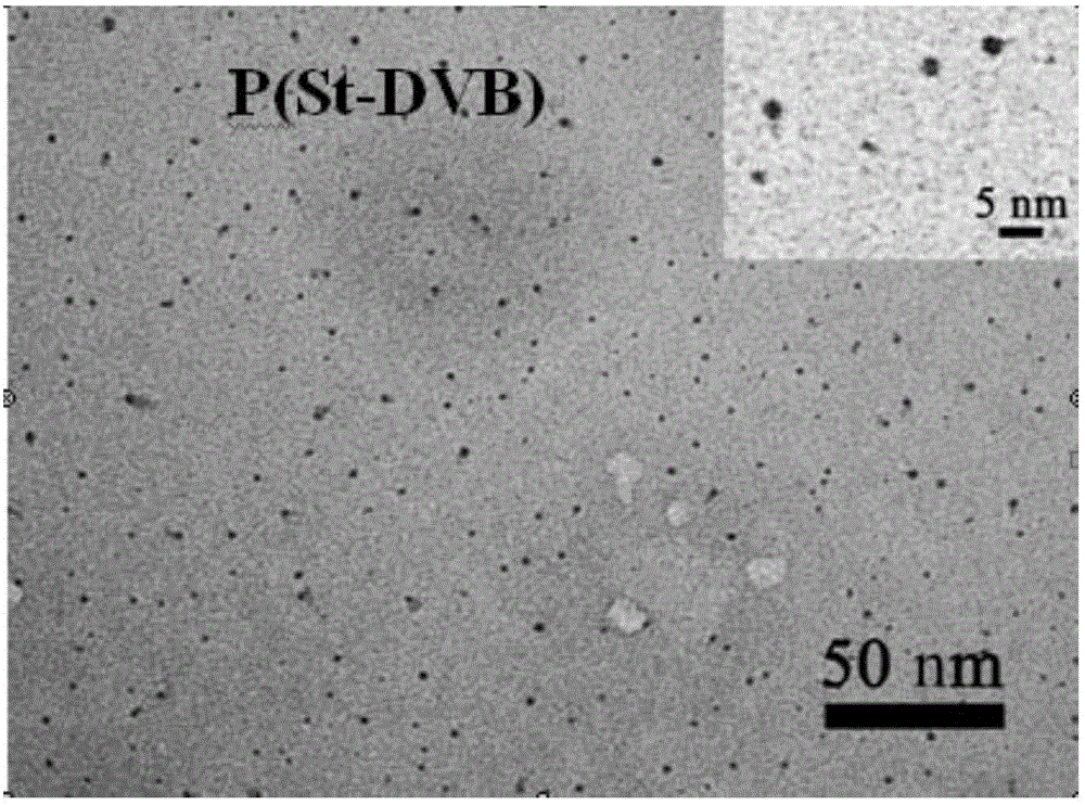 Janus material with polymer single-chain/nanoparticle composite structure, and cationic initiation double-bond polymerization preparation method thereof