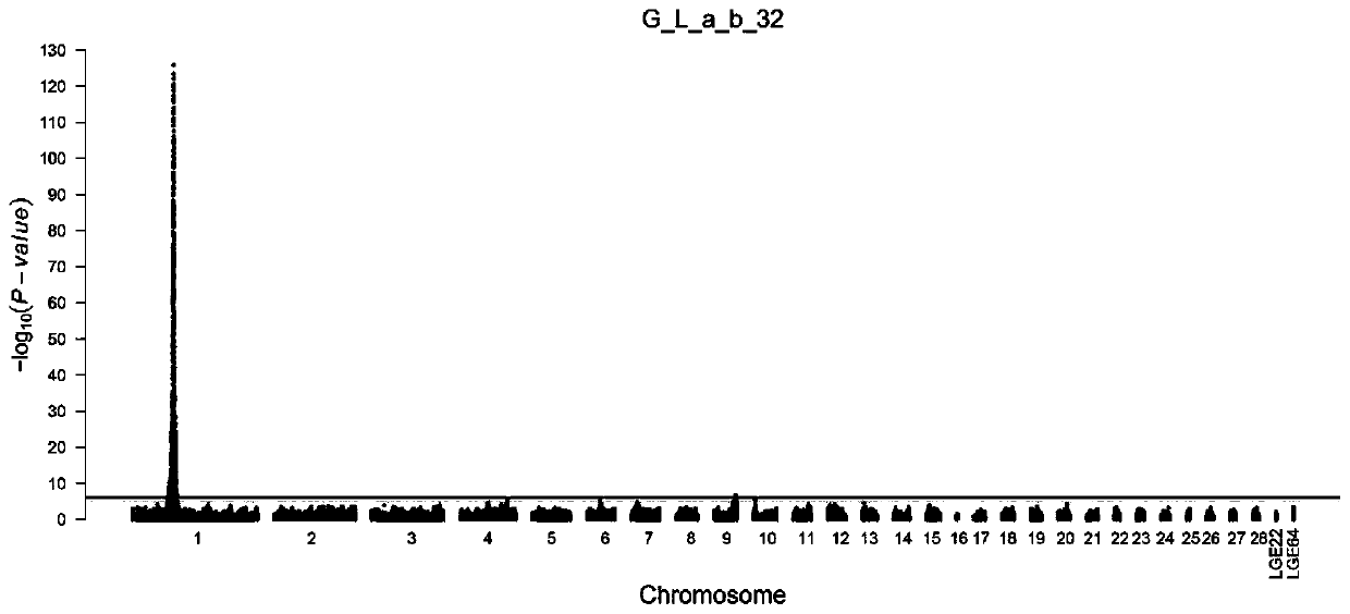 SNP molecular marker related to shade of colors of green-eggshell egg shell of chicken and application of SNP molecular marker