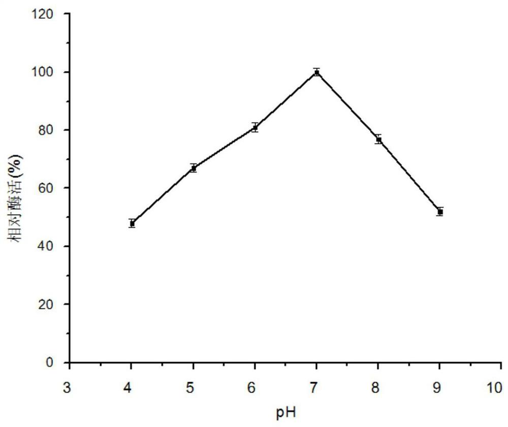 A kind of agarase with uniform degradation product and application thereof