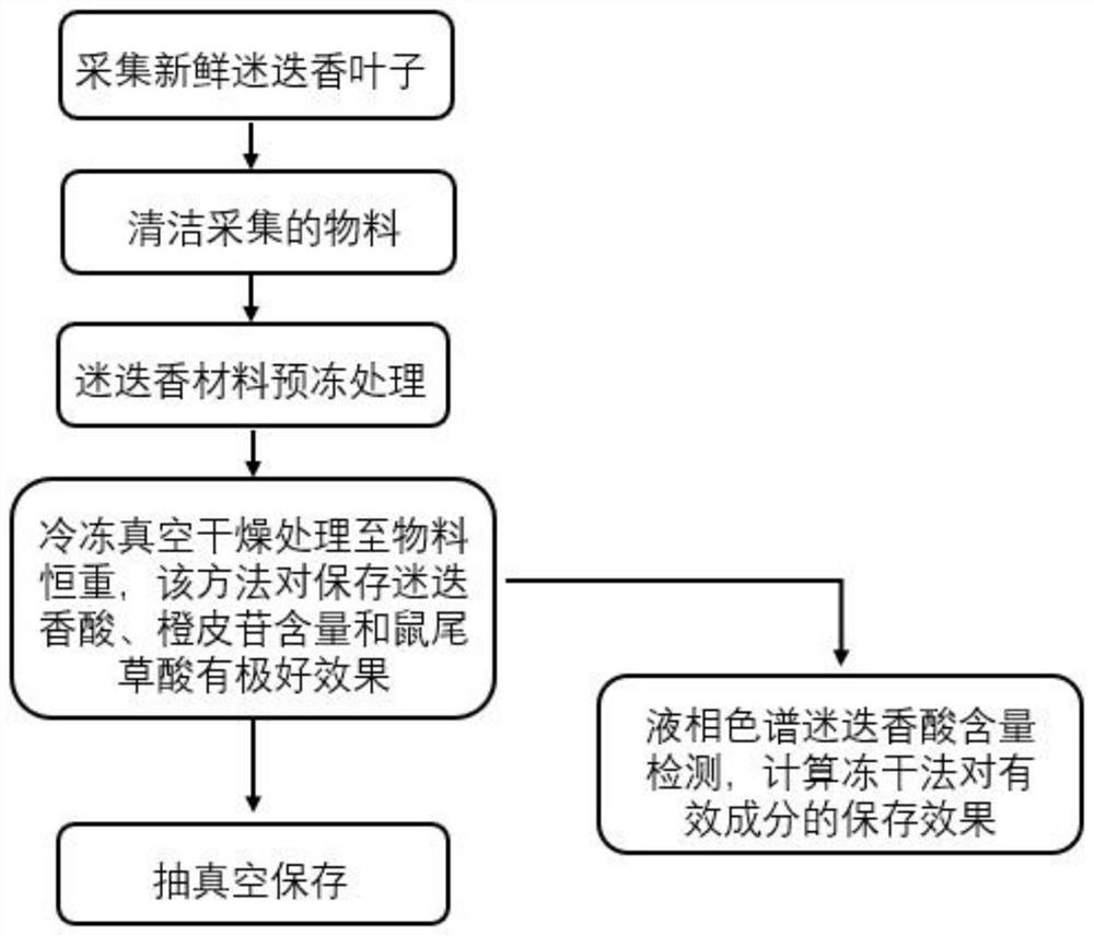 Method for improving preservation efficiency of rosmarinic acid in rosemary material